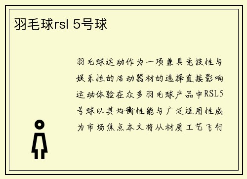 羽毛球rsl 5号球