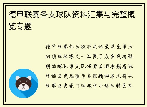 德甲联赛各支球队资料汇集与完整概览专题